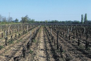 Forte de 15% d’actifs et de 352 000 hectares de terres à vocation agricole, soit 54% de sa superficie, la Meuse est avant tout un département rural et entend bien le faire savoir…