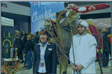 MNL a inauguré sa nouvelle liaison avec Casablanca à grands coups de chameaux.