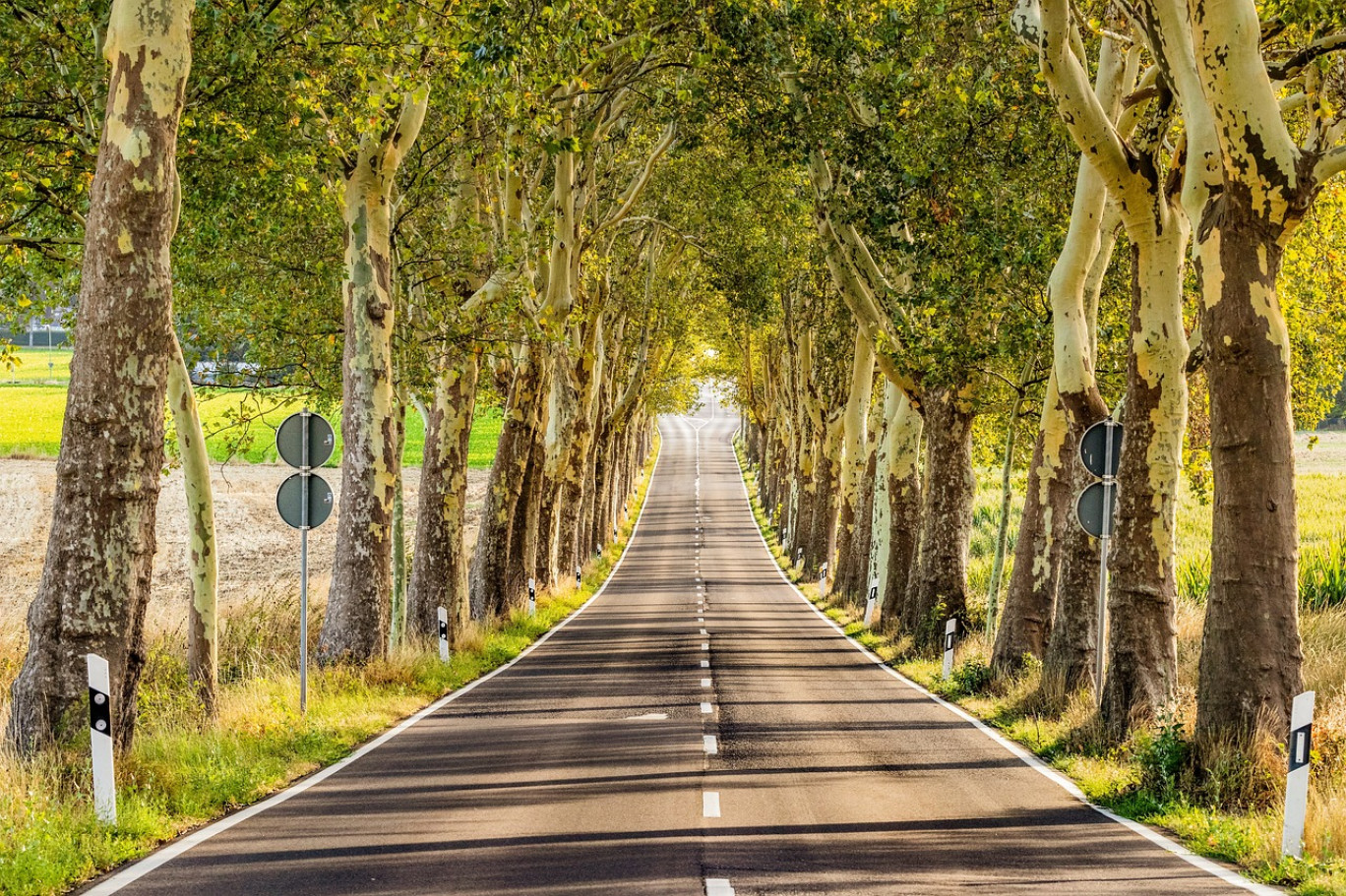 Ruralité : en toute mobilité