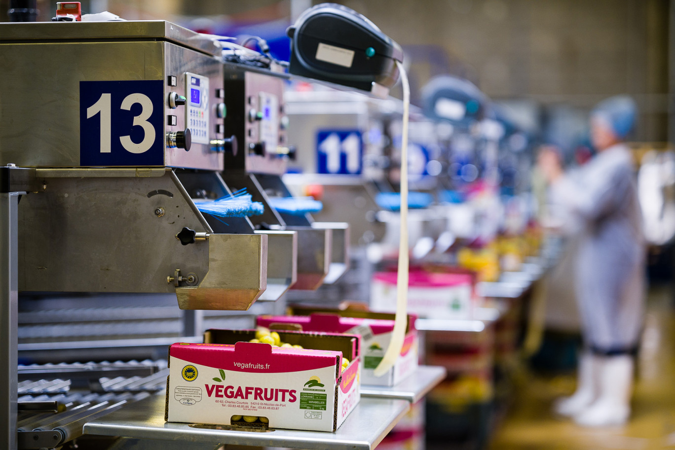 © Vegafruits. La coopérative Vegafruits de Saint-Nicolas-de-Port accueille le 15 octobre un petit déjeuner de l’agence de développement économique Lorr’up sous l’angle de l’économie circulaire. 