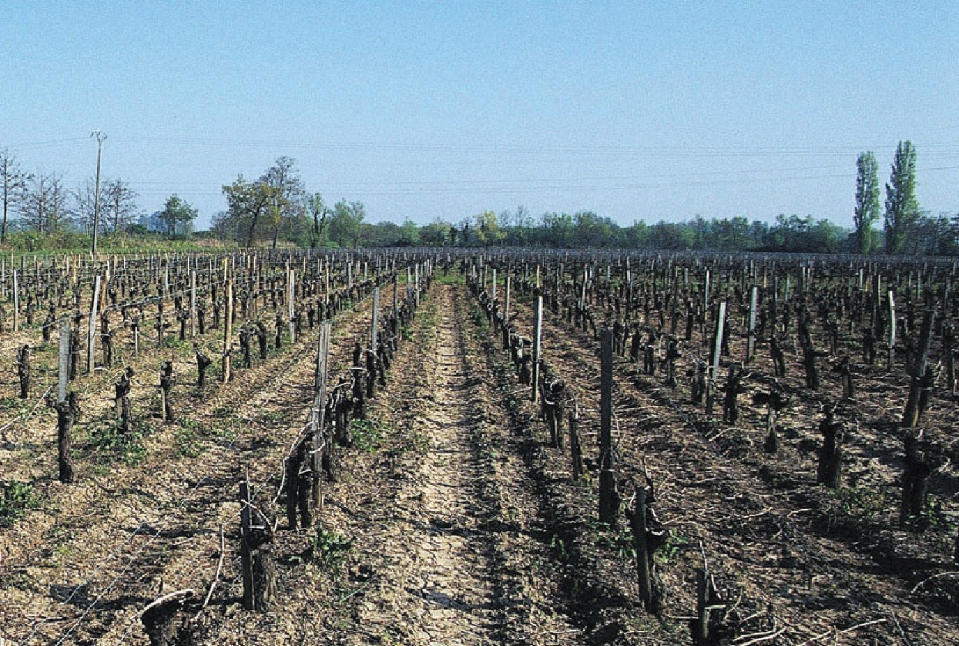 Forte de 15% d’actifs et de 352 000 hectares de terres à vocation agricole, soit 54% de sa superficie, la Meuse est avant tout un département rural et entend bien le faire savoir…