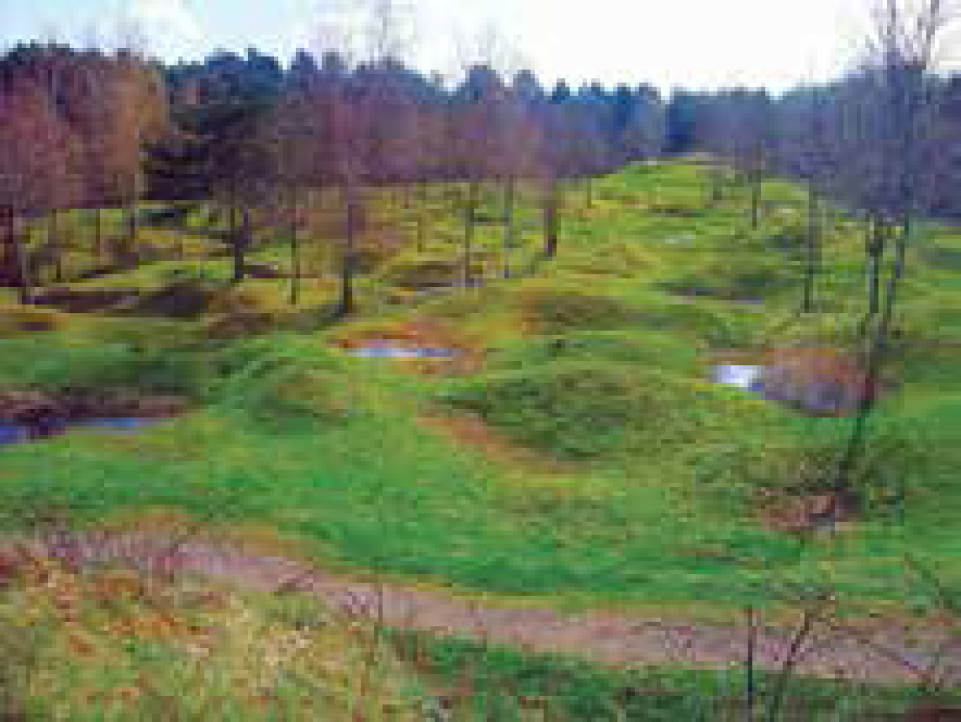 L'essentiel de Meuse et des Vosges